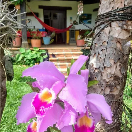 La Villa The View Pance Exterior photo